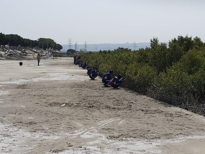 海岸生態觀察5
